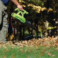 Electric Leaf Blower Vacuum Mulcher, 12 Amp, 3-in-1 Yard Tool, Lime Green