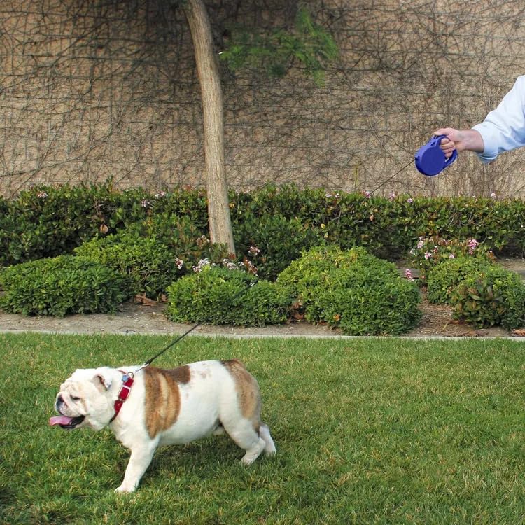 24 ft. Retractable Dog Leash